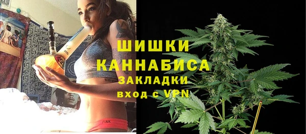 спиды Гусев