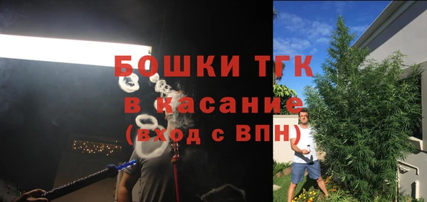 сатива Абинск